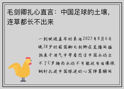 毛剑卿扎心直言：中国足球的土壤，连草都长不出来